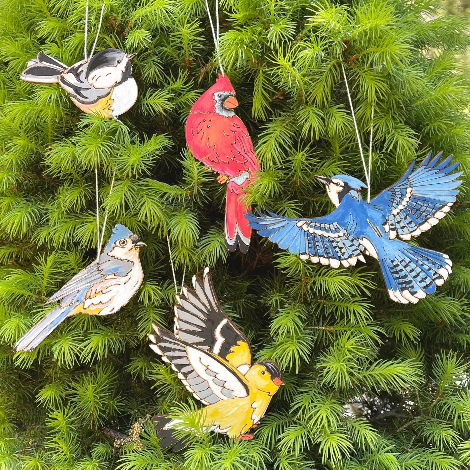 Nature Studies kits