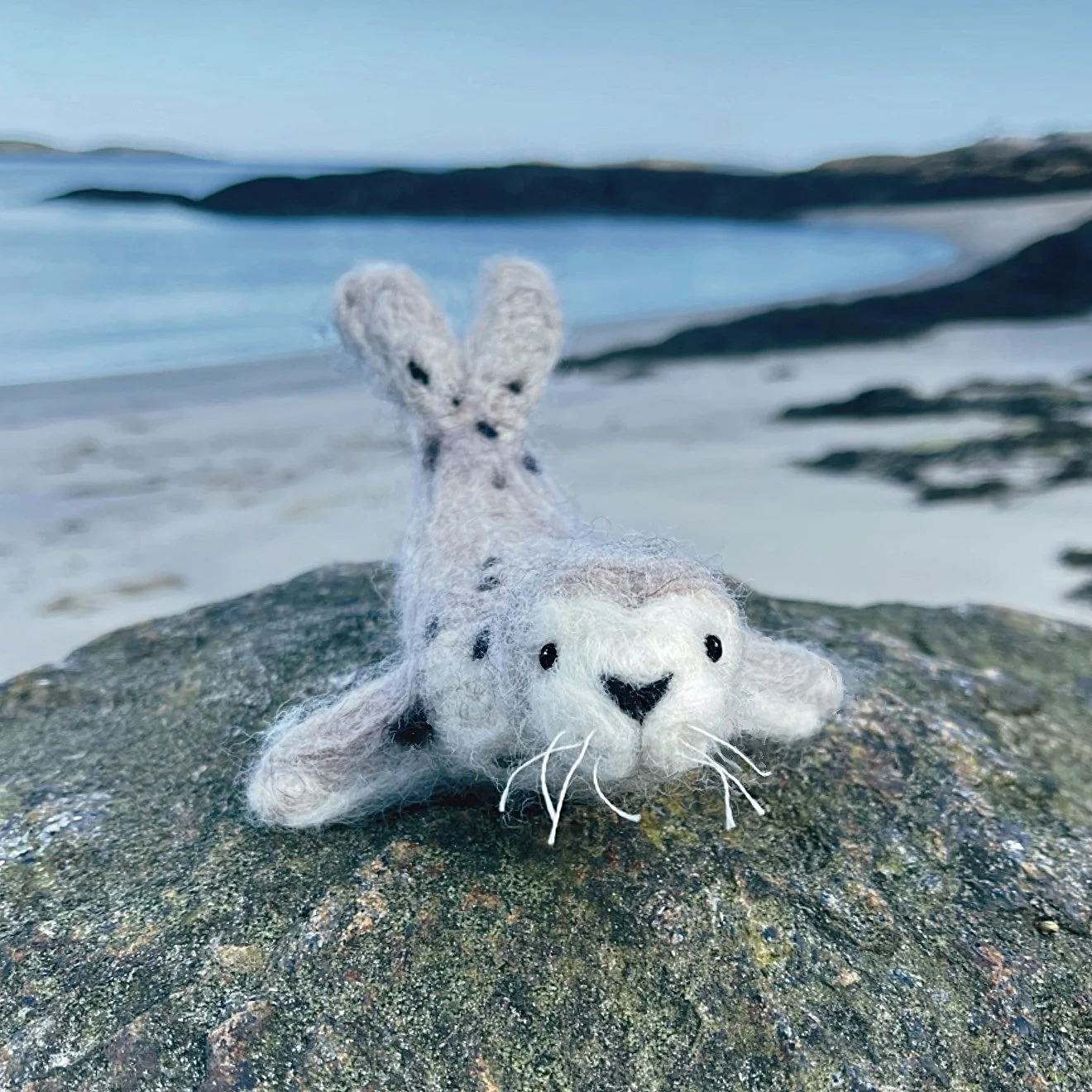 Needlefelt kits
