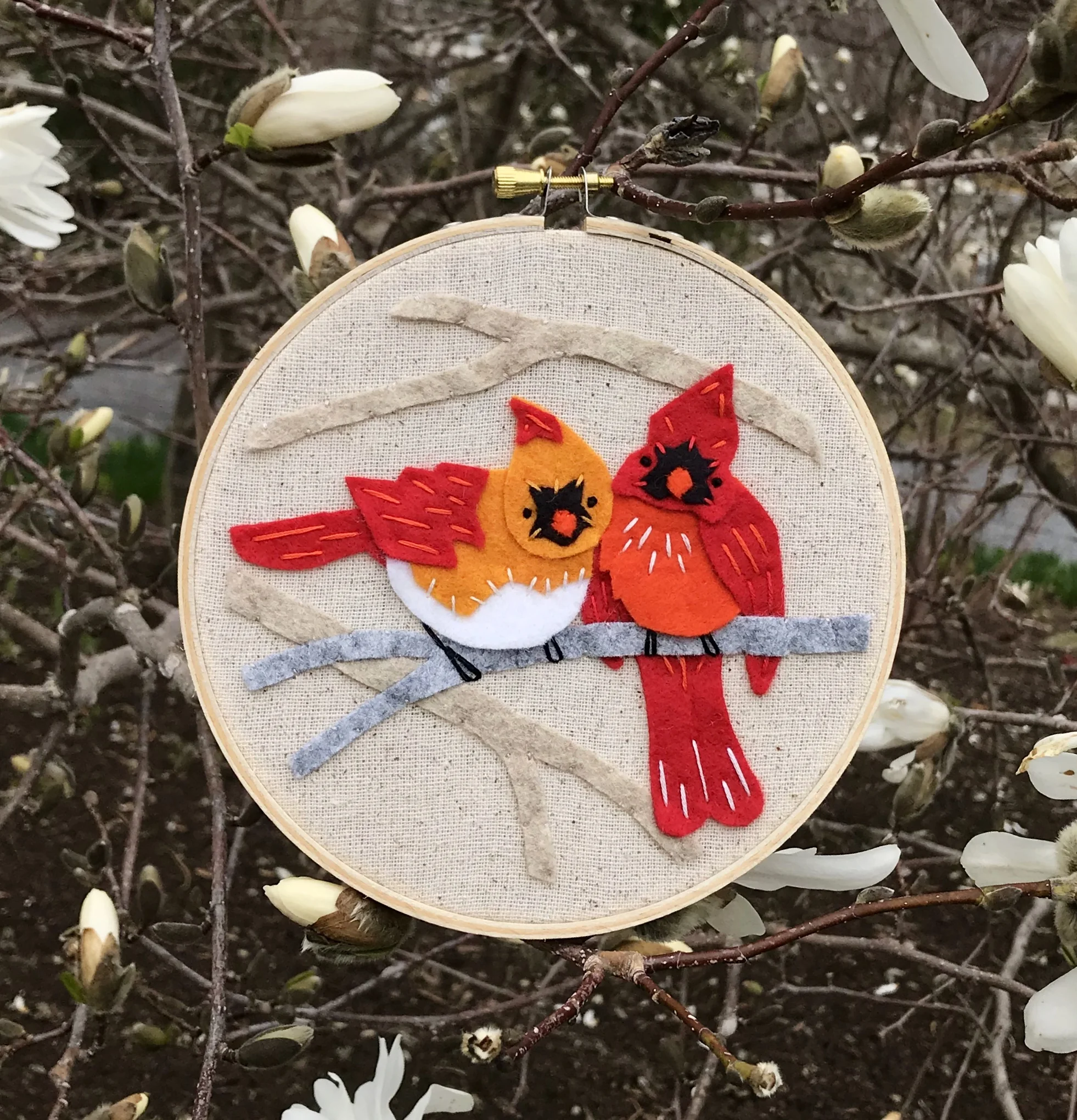 Nature Studies Kits