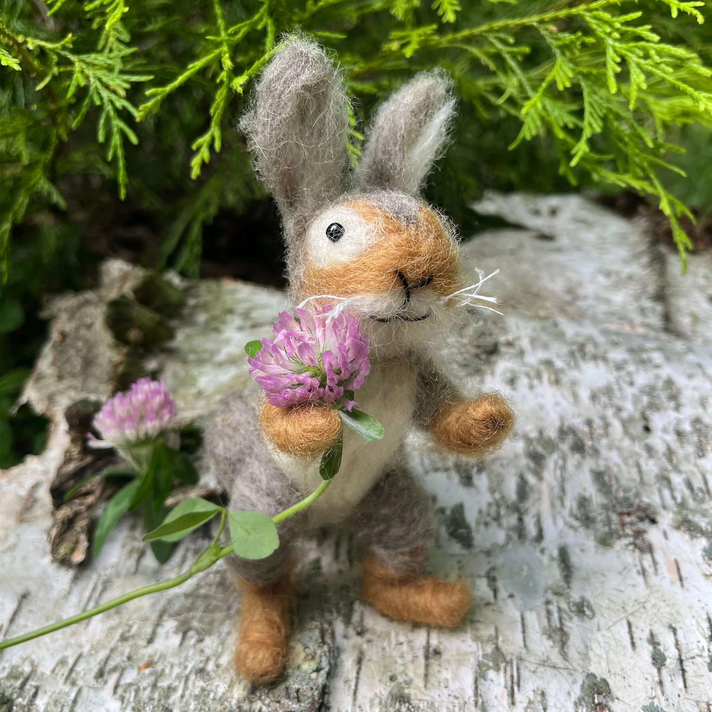 Eastern Cottontail Softie Kit