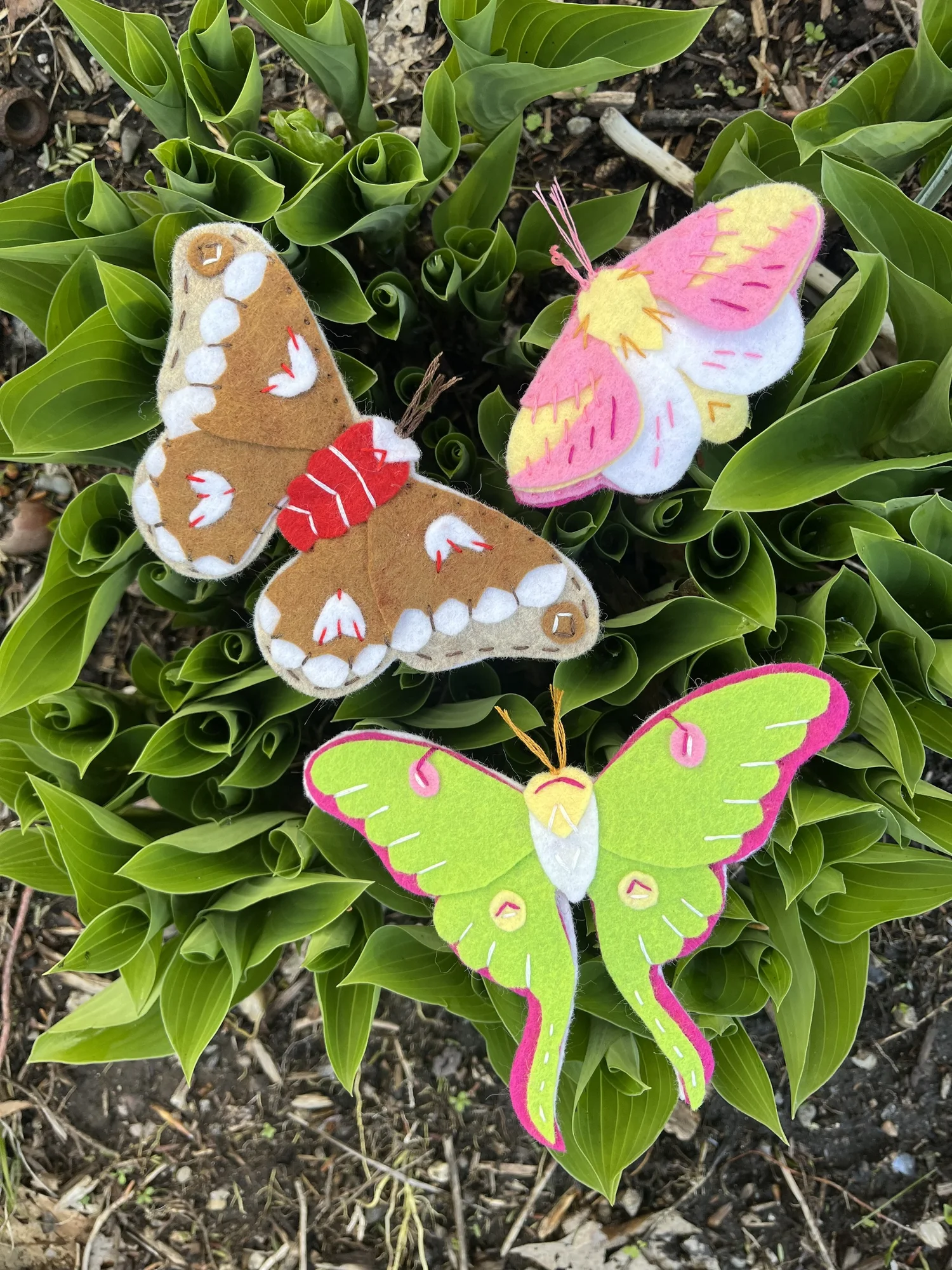 Moth Ornaments